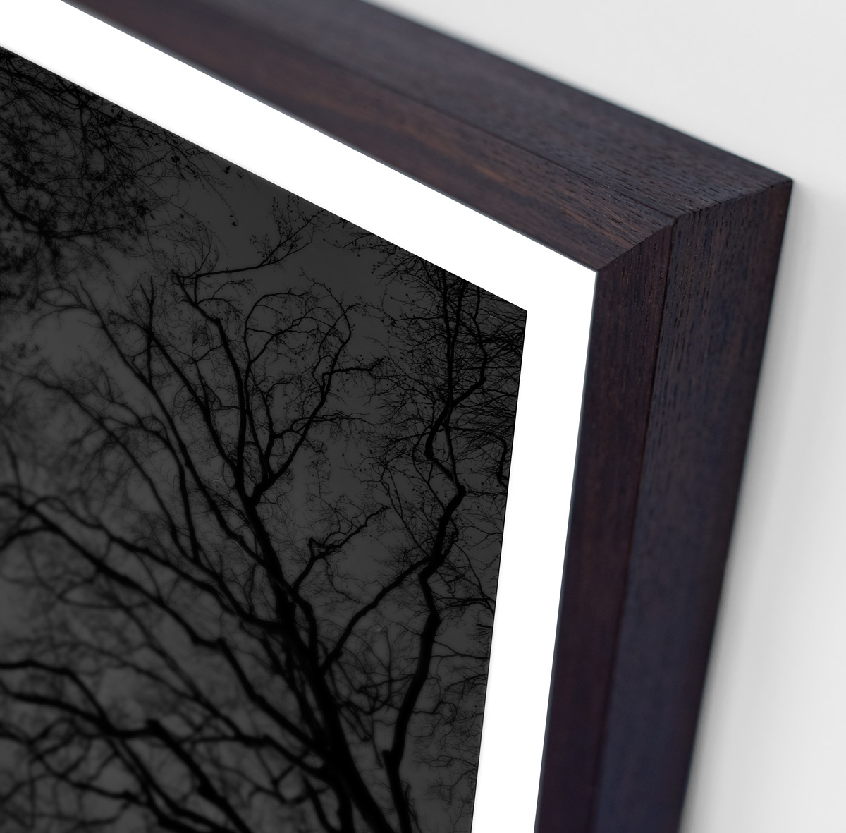 Detail of black and white fine art photography print of bare trees framed in smoked oak size 80×103 cm