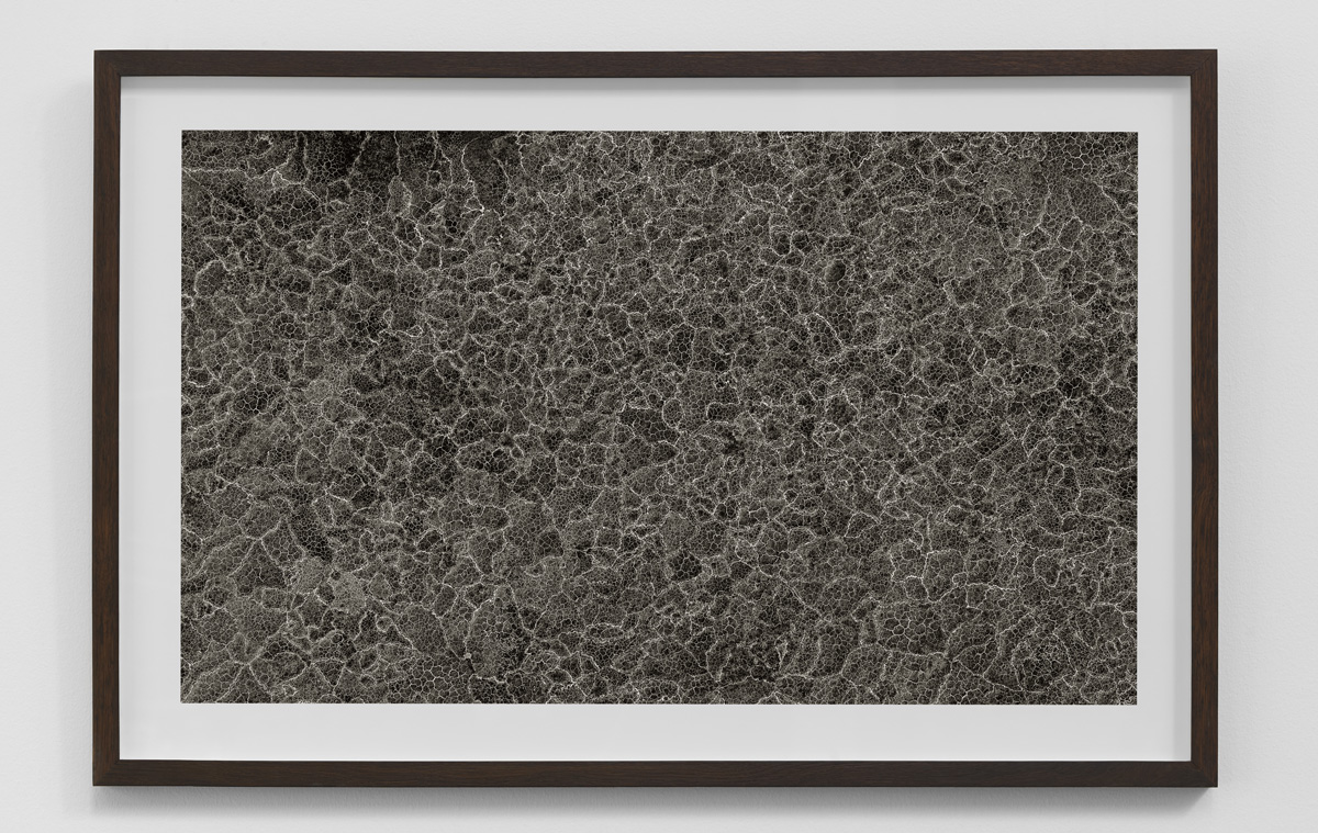 Indrammet kunstfotografi mønster i hvid og 3 varme grå farver fra serien Satellites af kunstfotograf Kenneth Rimm